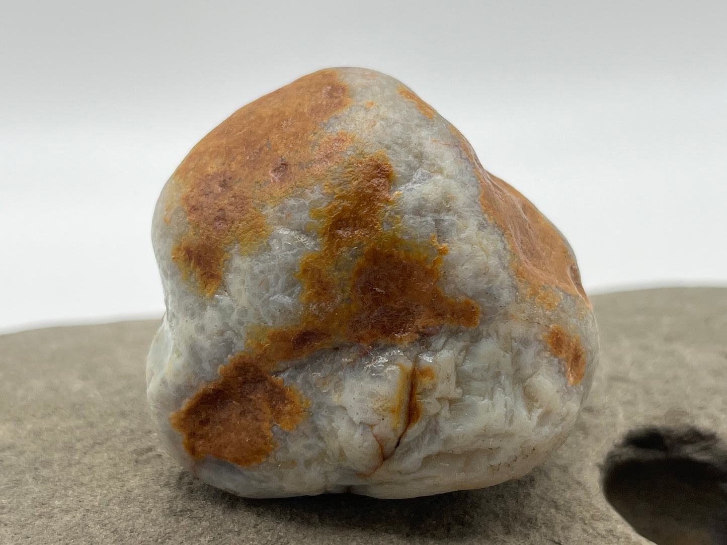 Limonite Stained LSA 24