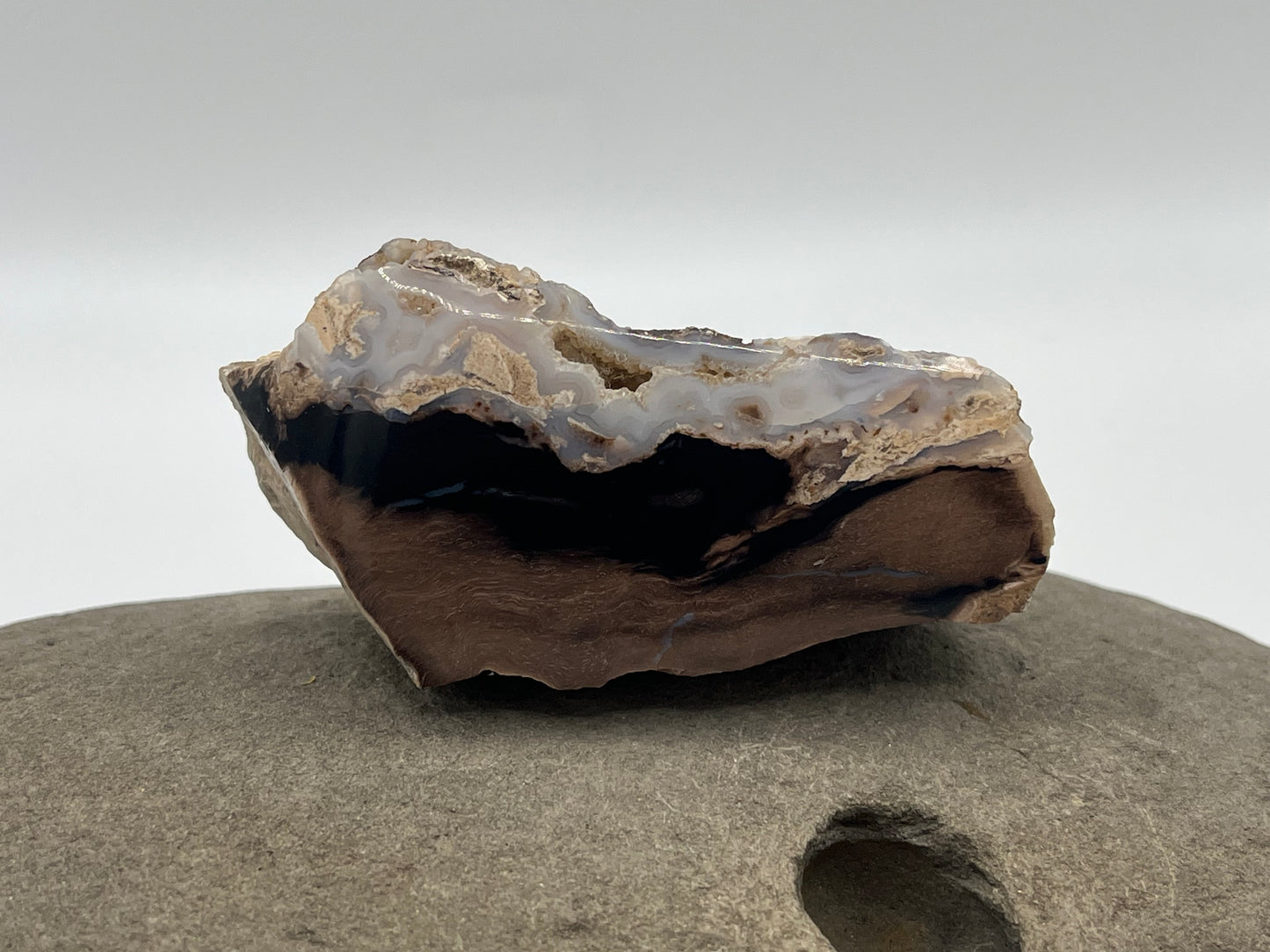 Eden Valley Petrified Wood Specimen 2
