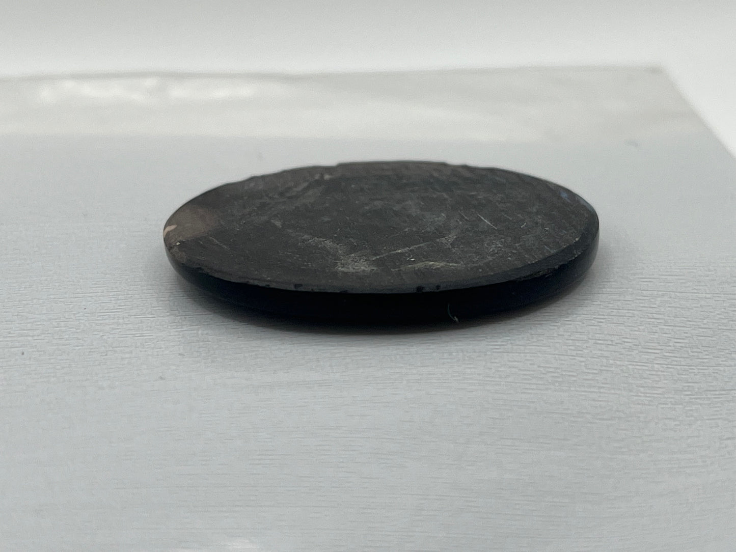 Eden Valley Petrified Wood Cabochon 20