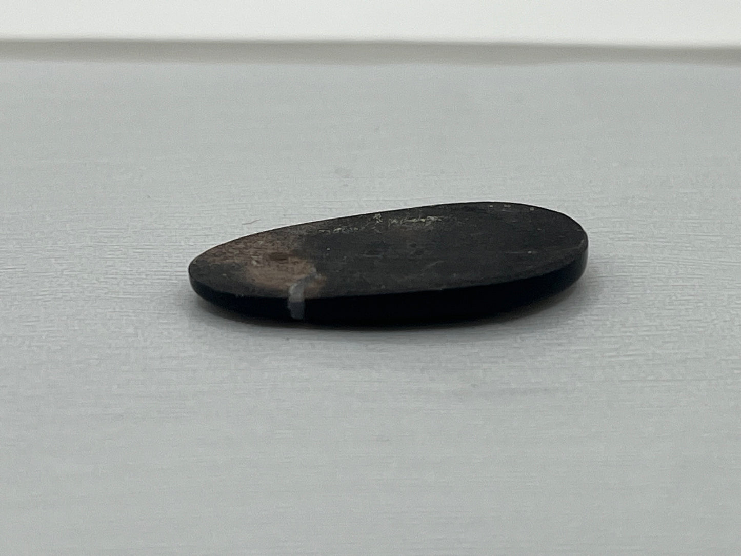 Eden Valley Petrified Wood Cabochon 21