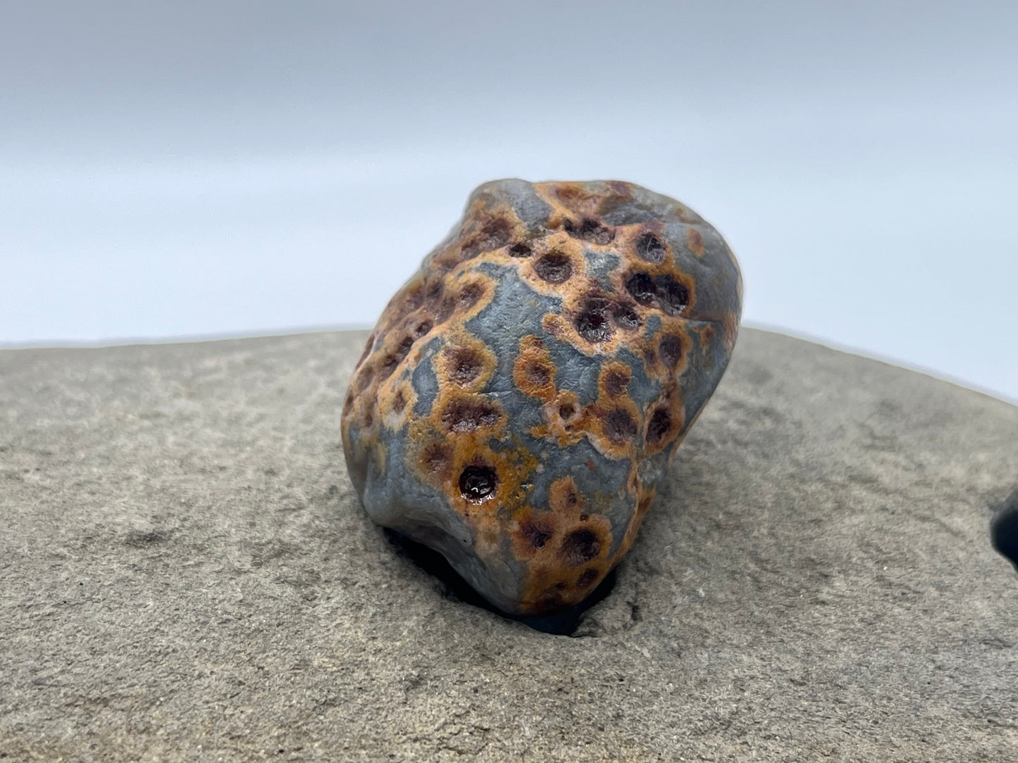 Spotted Limonite Stained LSA 54