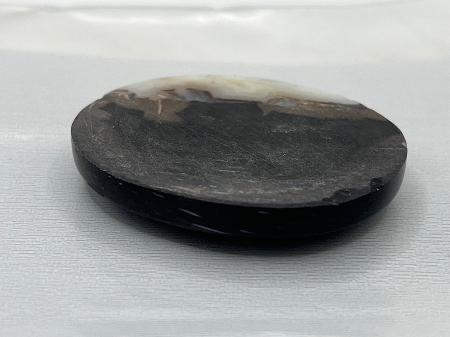 Eden Valley Petrified Wood Cabochon 28