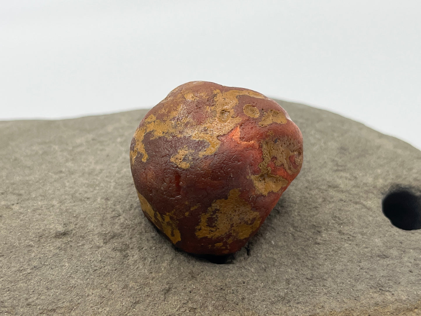 Limonite Stained LSA 61