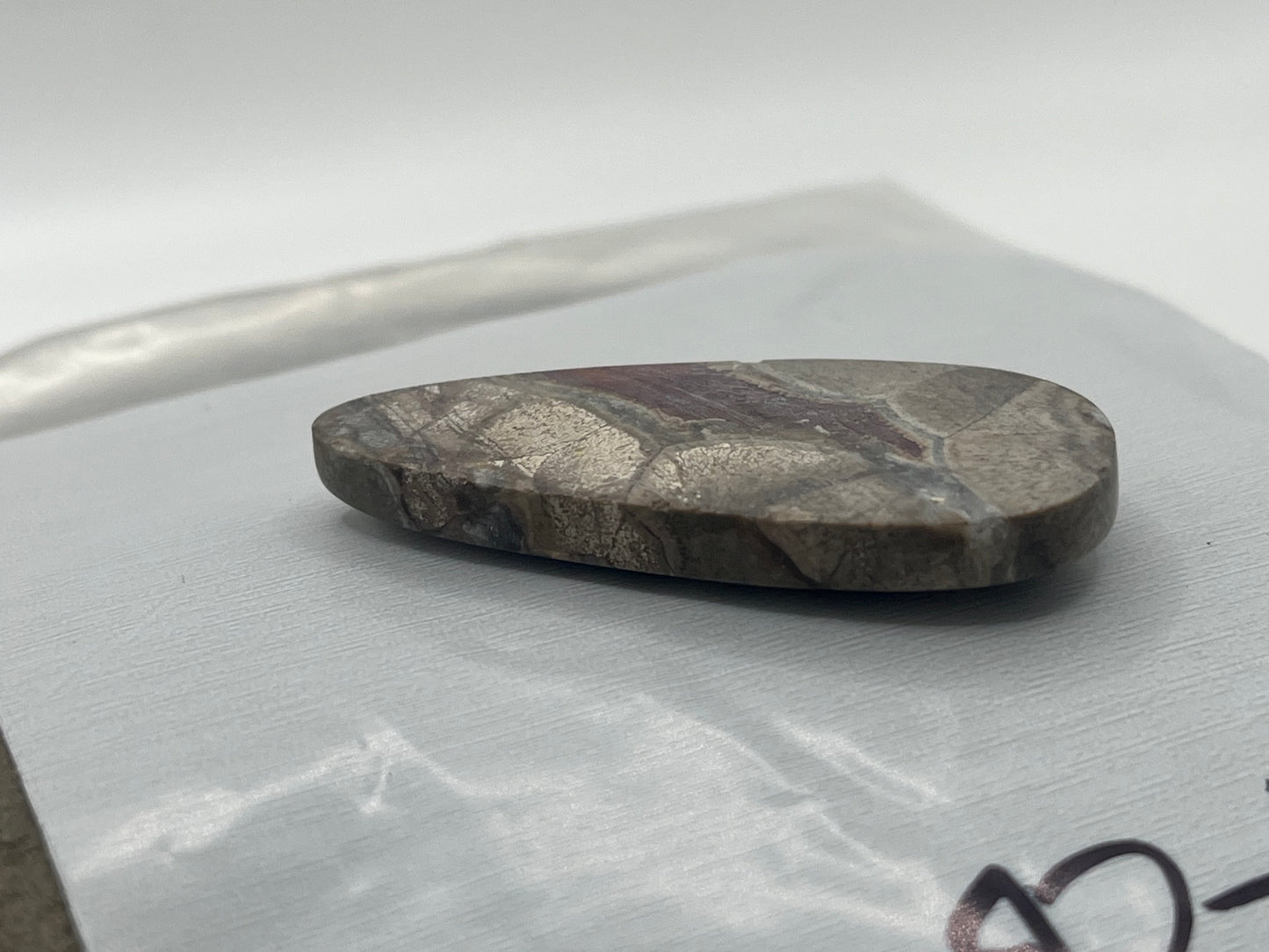 Mushroom Ryolite Cabochon 10