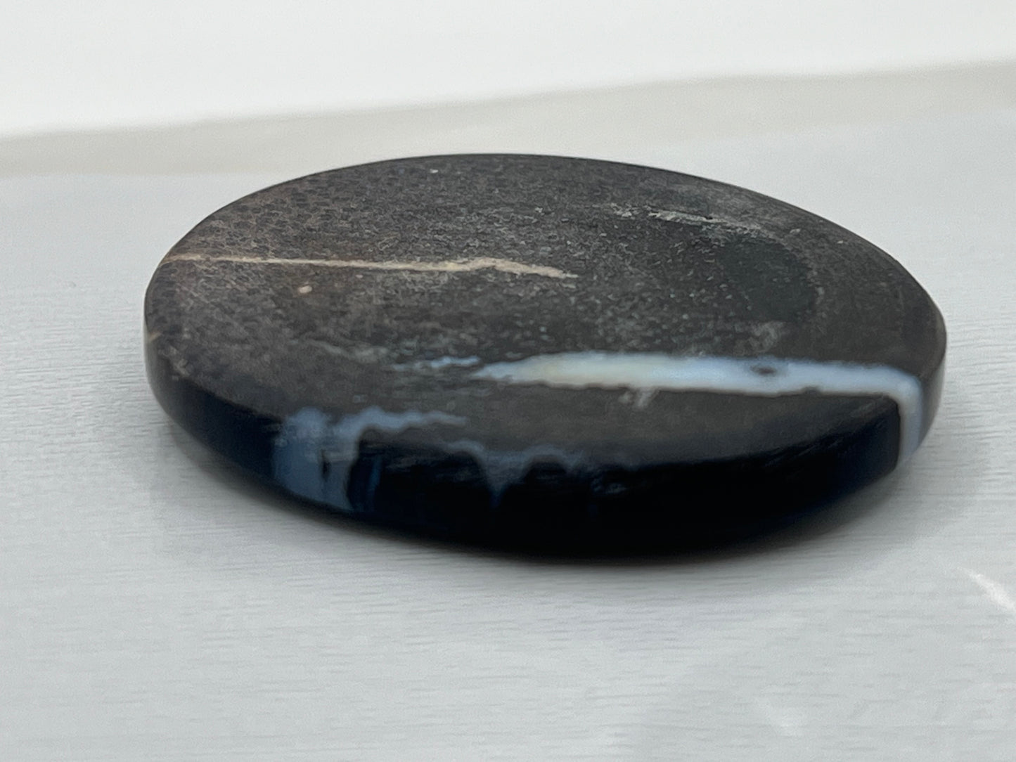 Eden Valley Petrified Wood Cabochon 13