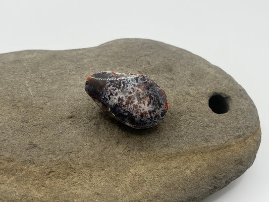 Lake Superior Agate Specimen 16