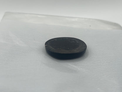 Eden Valley Petrified Wood Cabochon 8