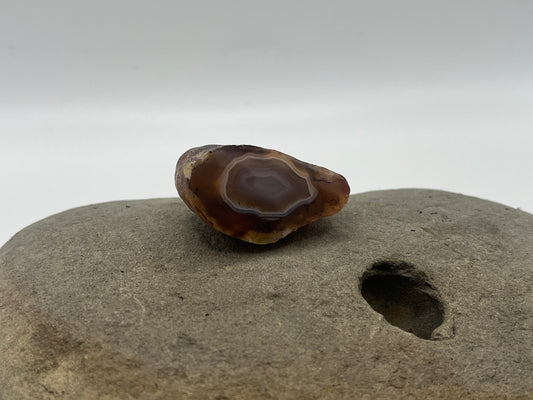 Black River Agate Specimen 1