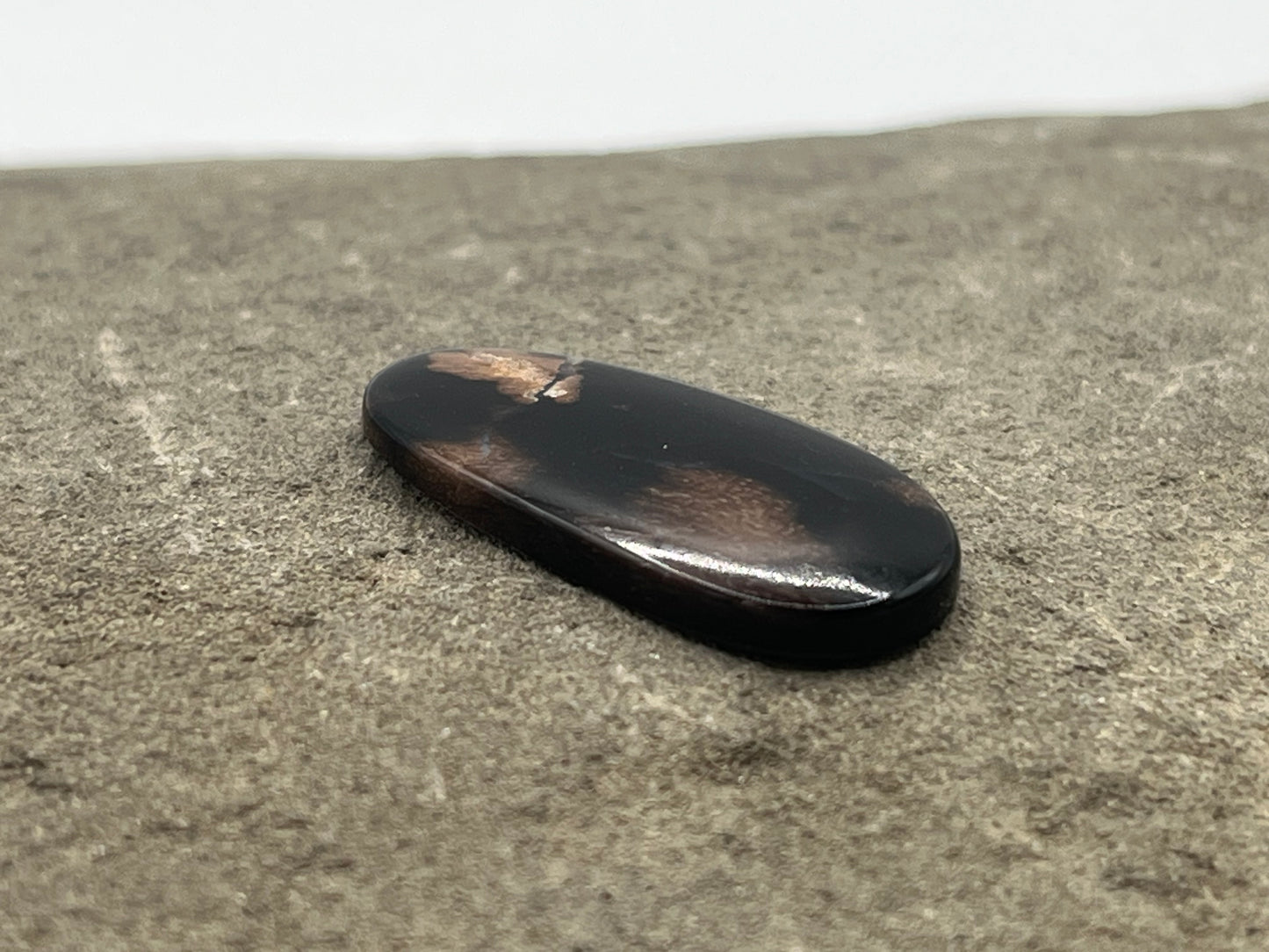 Eden Valley Petrified Wood Cabochon 21