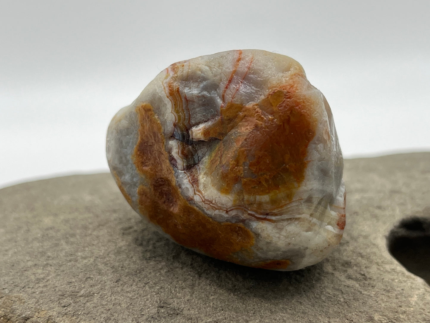 Limonite Stained LSA 24