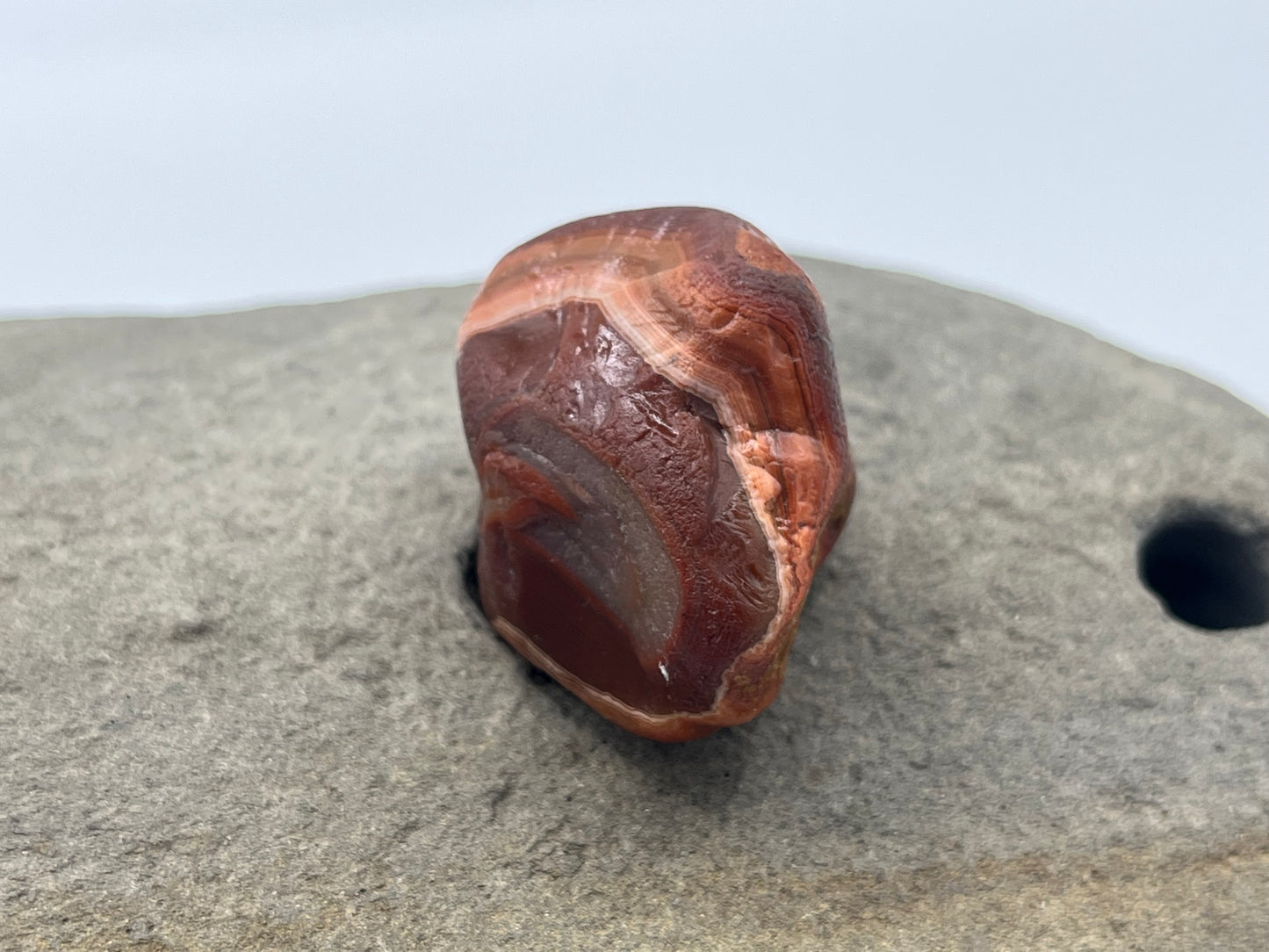 Limonite Stained LSA 61