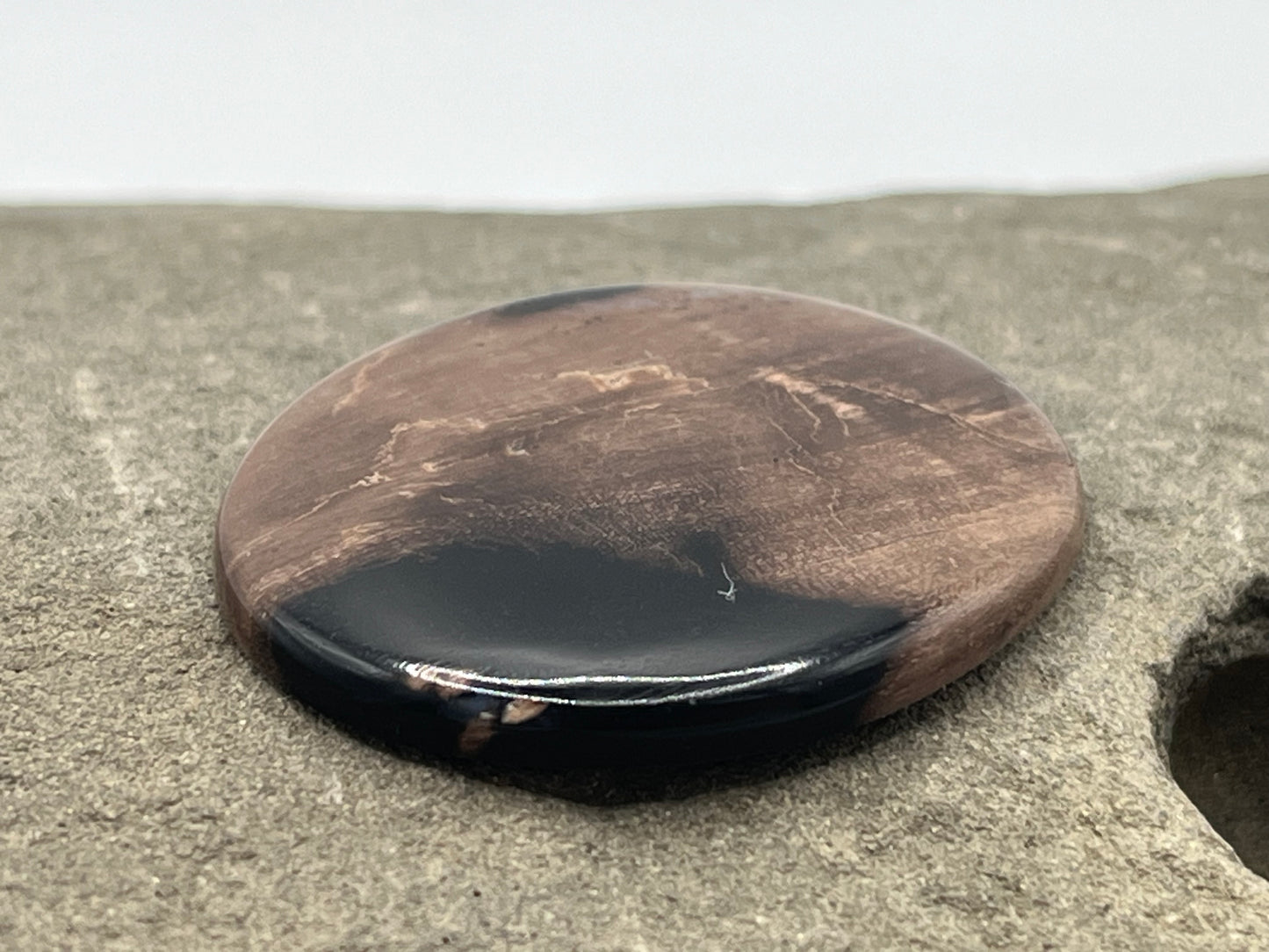 Eden Valley Petrified Wood Cabochon 26