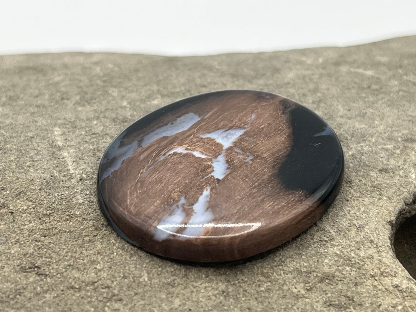 Eden Valley Petrified Wood Cabochon 29