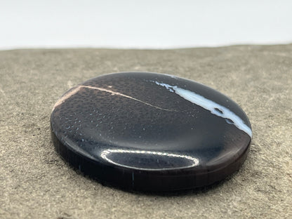 Eden Valley Petrified Wood Cabochon 13