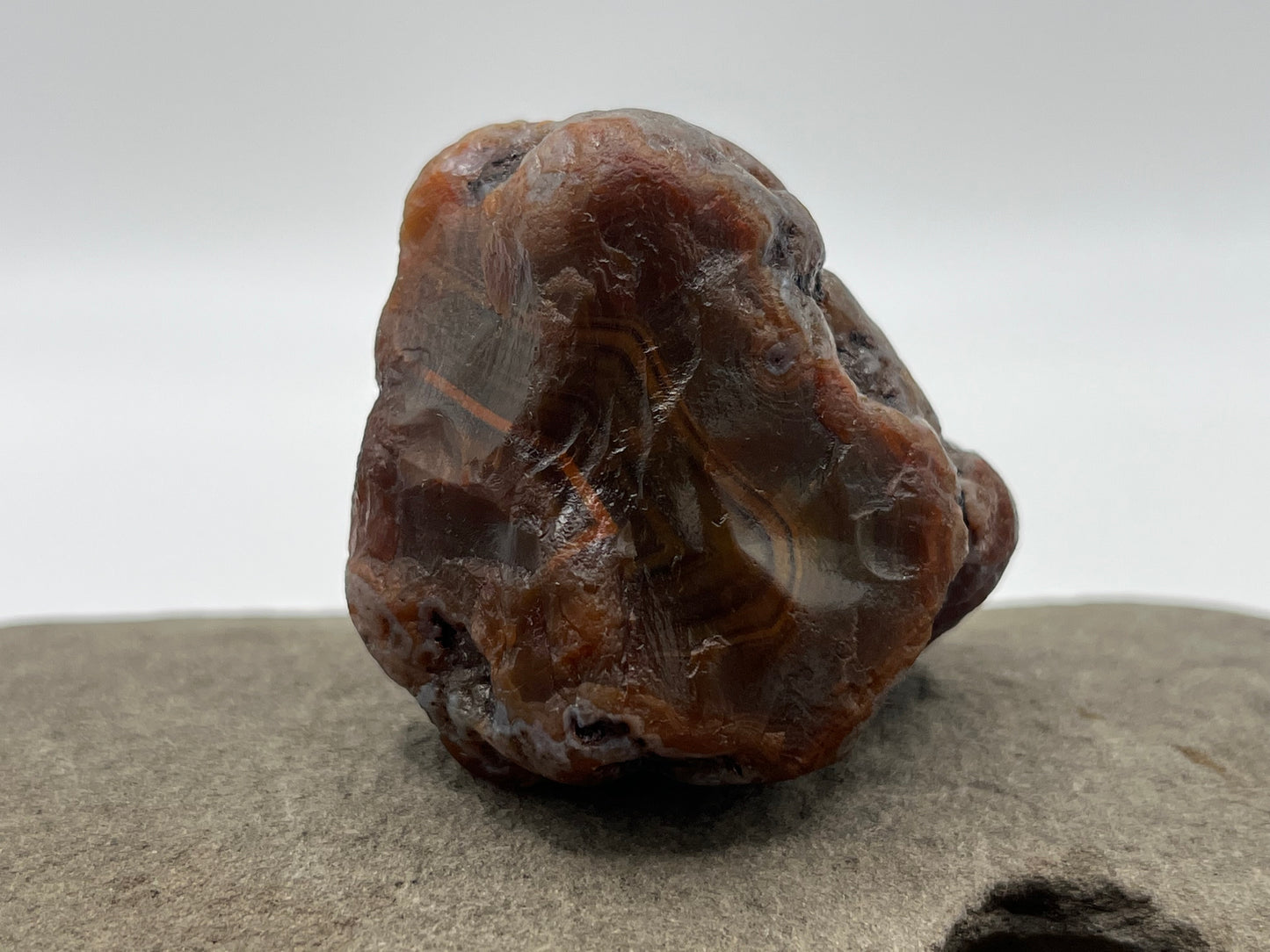 Root Beer Bander LSA 36