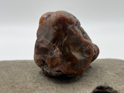 Root Beer Bander LSA 36