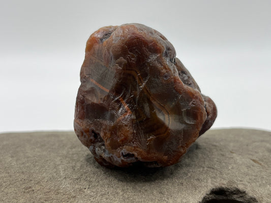 Root Beer Bander LSA 36