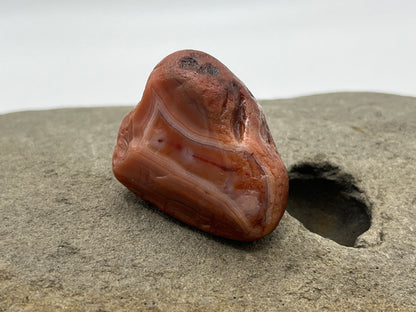 Hourglass Banded Painter LSA 52