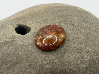 Agua Nueva Agate Cabochon 4