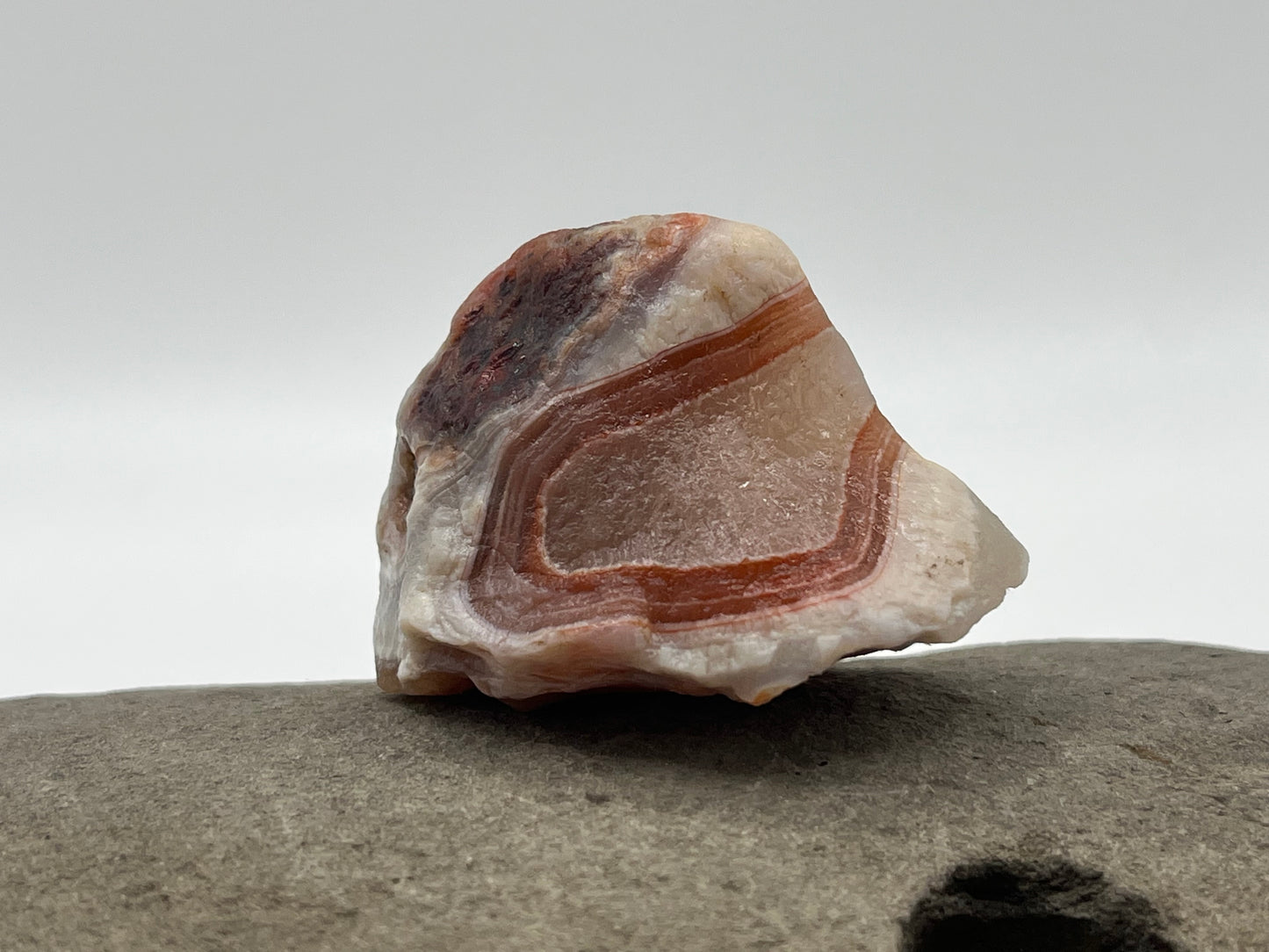 Swooping Red and White Banded LSA 38