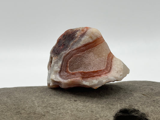 Swooping Red and White Banded LSA 38