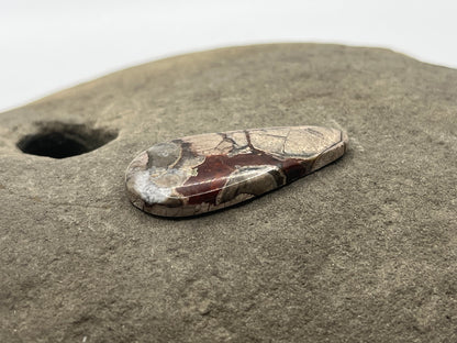 Mushroom Ryolite Cabochon 9