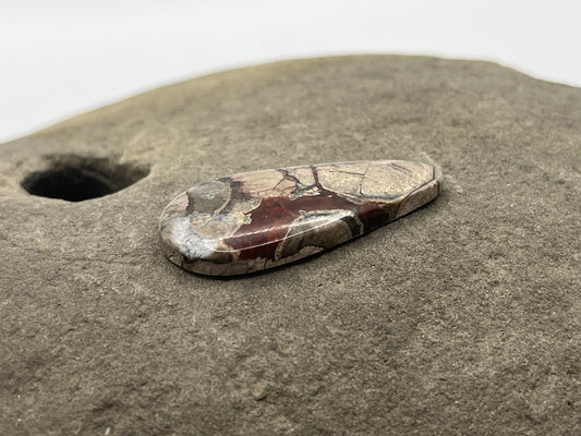 Mushroom Ryolite Cabochon 9