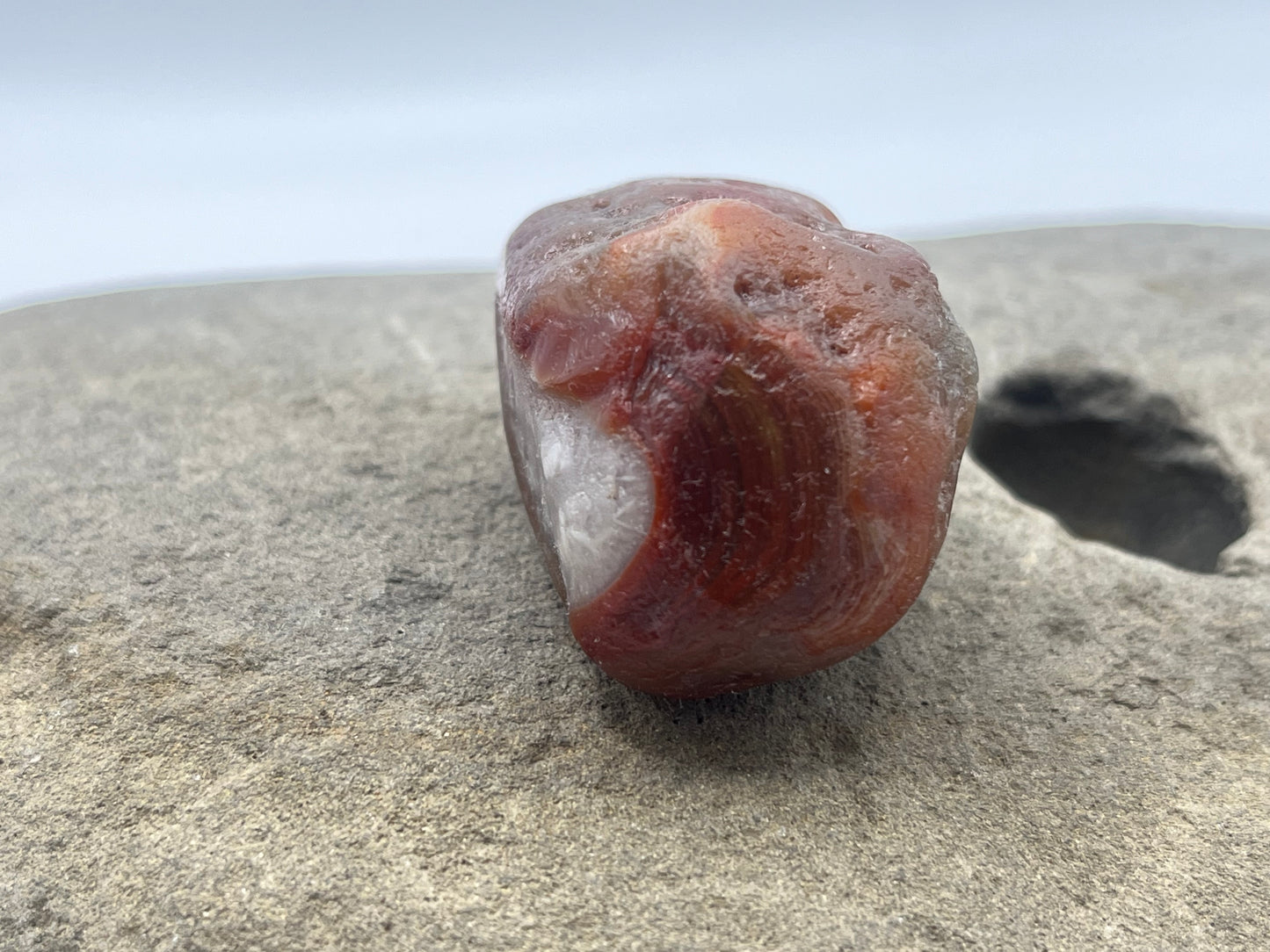 Jelly Banded LSA 6
