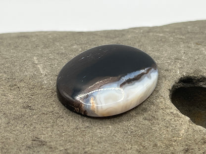 Eden Valley Petrified Wood Cabochon 28