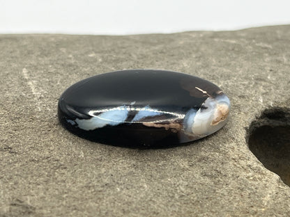 Eden Valley Petrified Wood Cabochon 12
