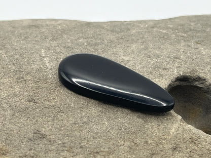 Eden Valley Petrified Wood Cabochon 30