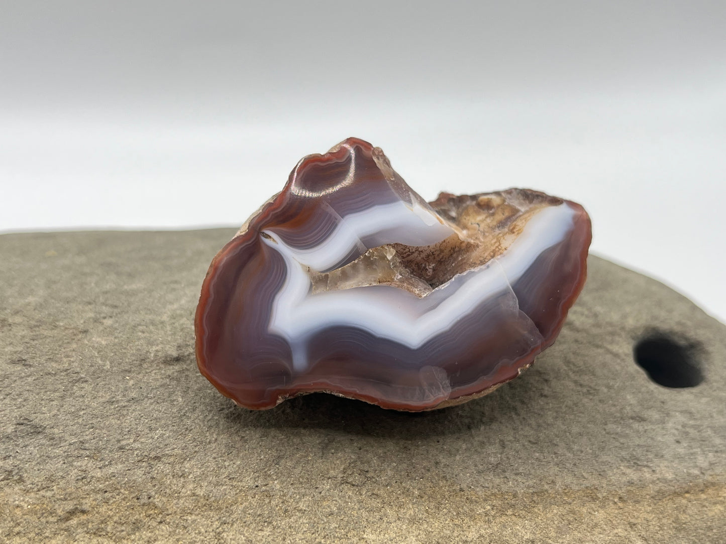 Coyamito Agate Specimen 1