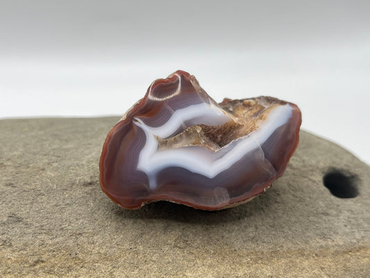 Coyamito Agate Specimen 1