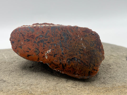 Lake Superior Agate Specimen 19