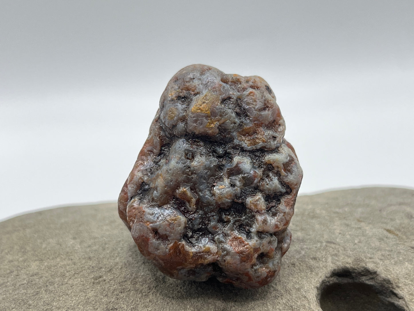 Root Beer Bander LSA 36