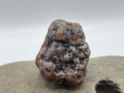 Root Beer Bander LSA 36