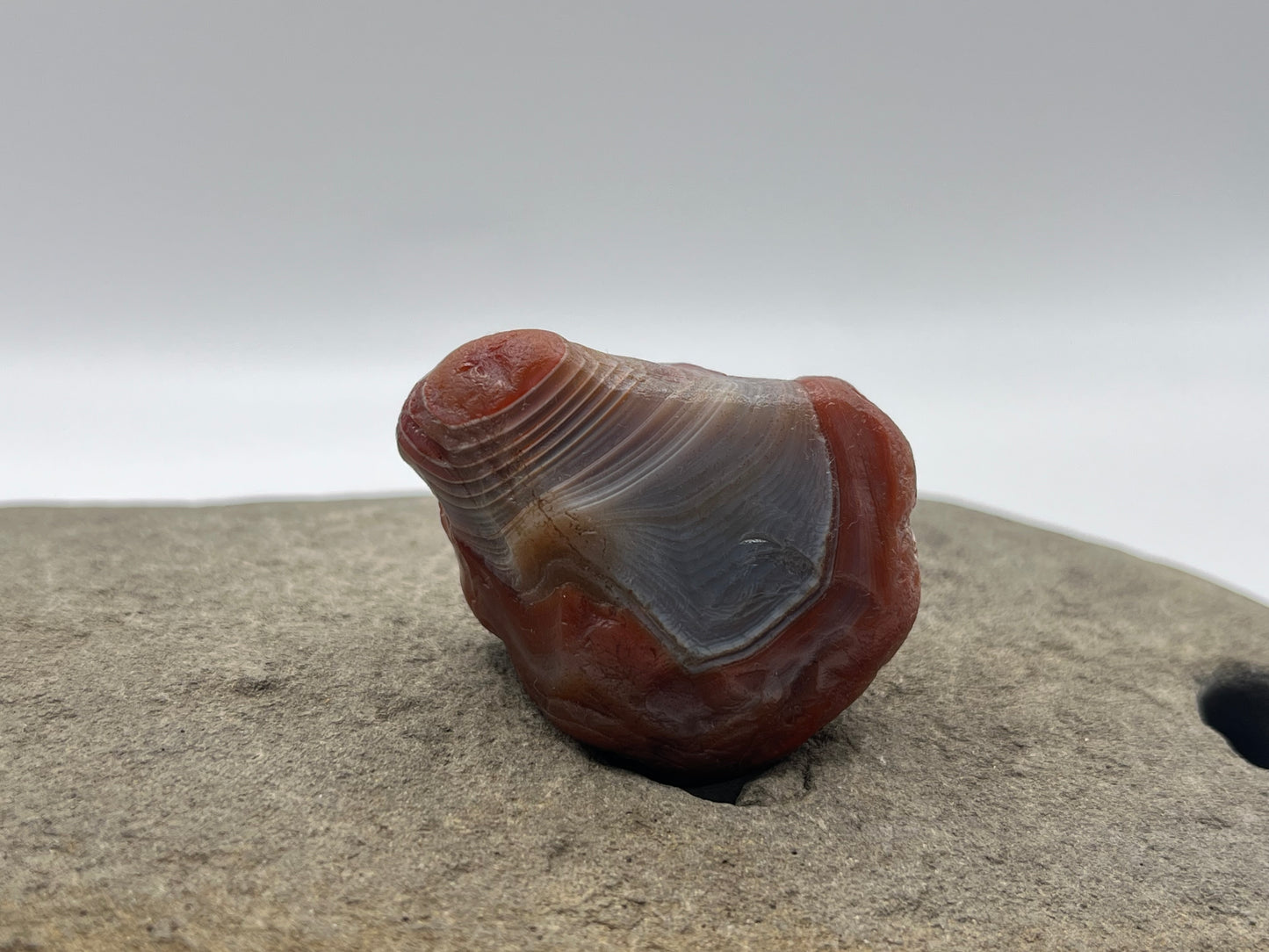 Jelly Banded LSA 47