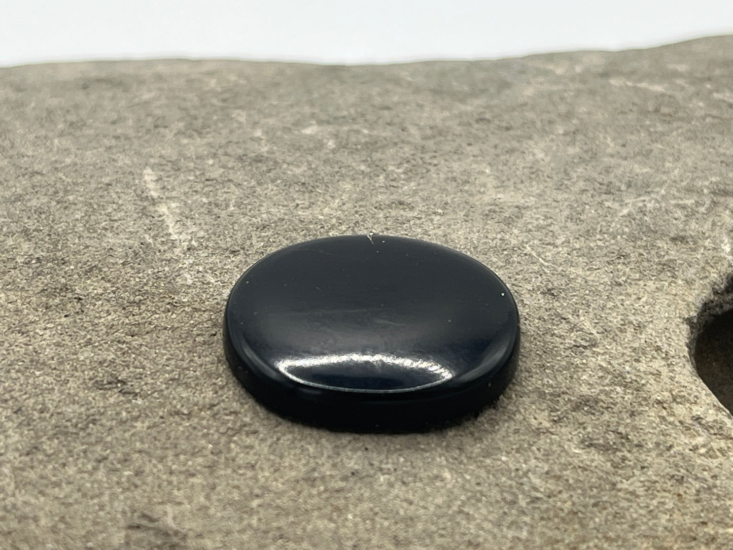 Eden Valley Petrified Wood Cabochon 8