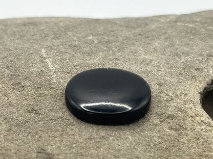 Eden Valley Petrified Wood Cabochon 8