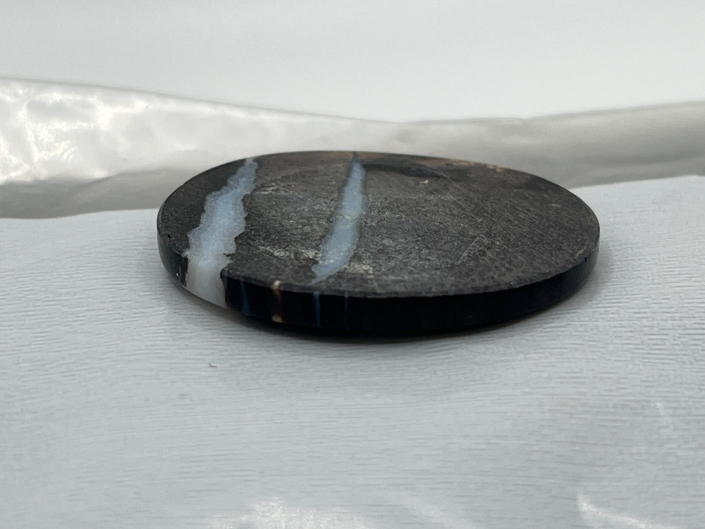 Eden Valley Petrified Wood Cabochon 5