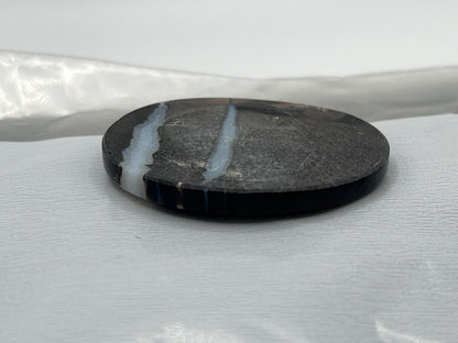 Eden Valley Petrified Wood Cabochon 5