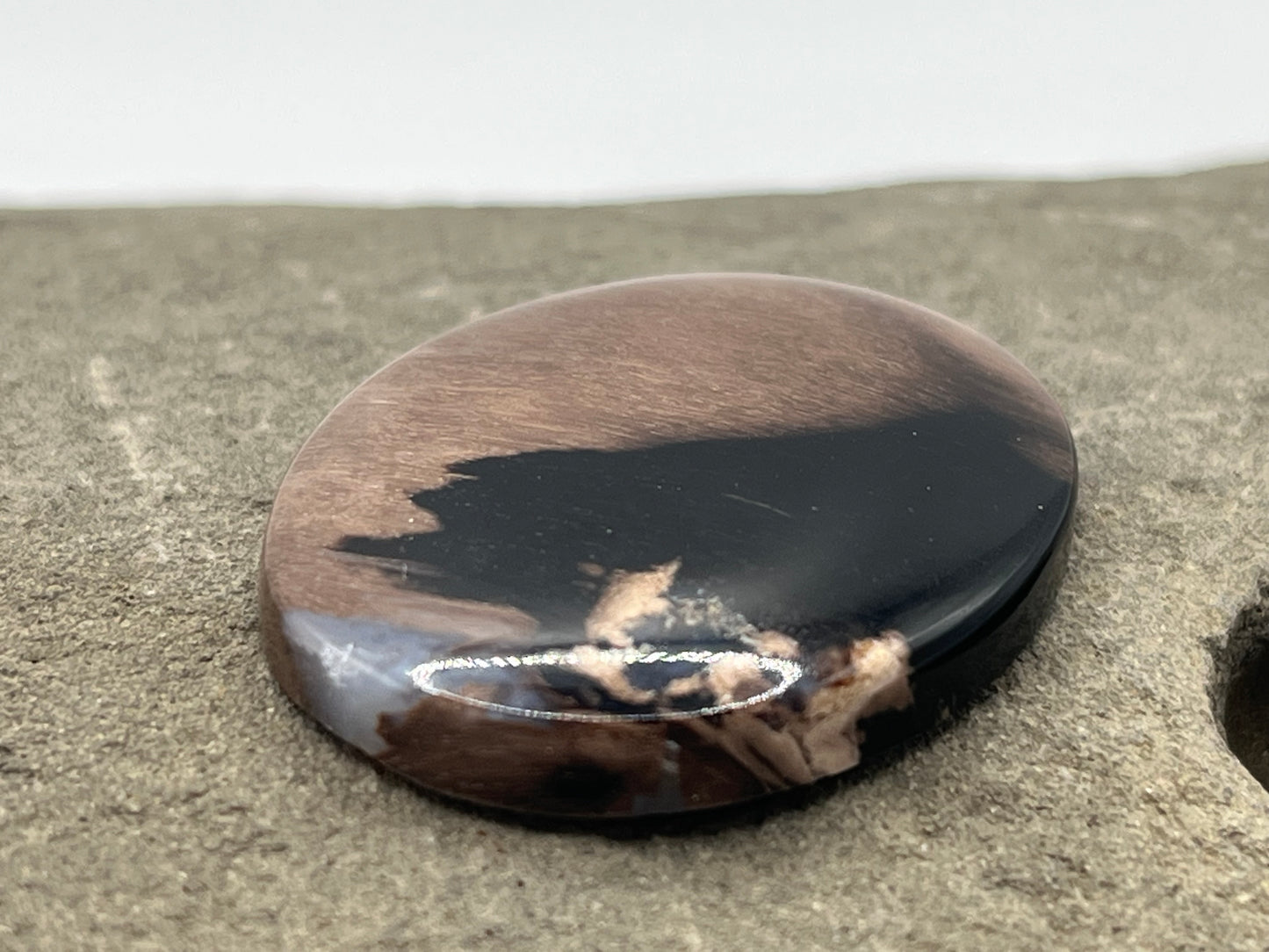 Eden Valley Petrified Wood Cabochon 17