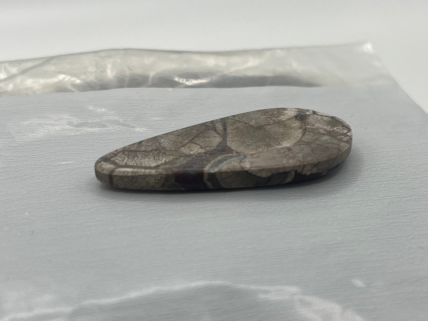 Mushroom Ryolite Cabochon 9