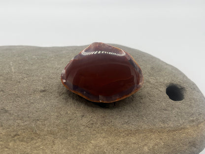 Lake Superior Agate Specimen 4
