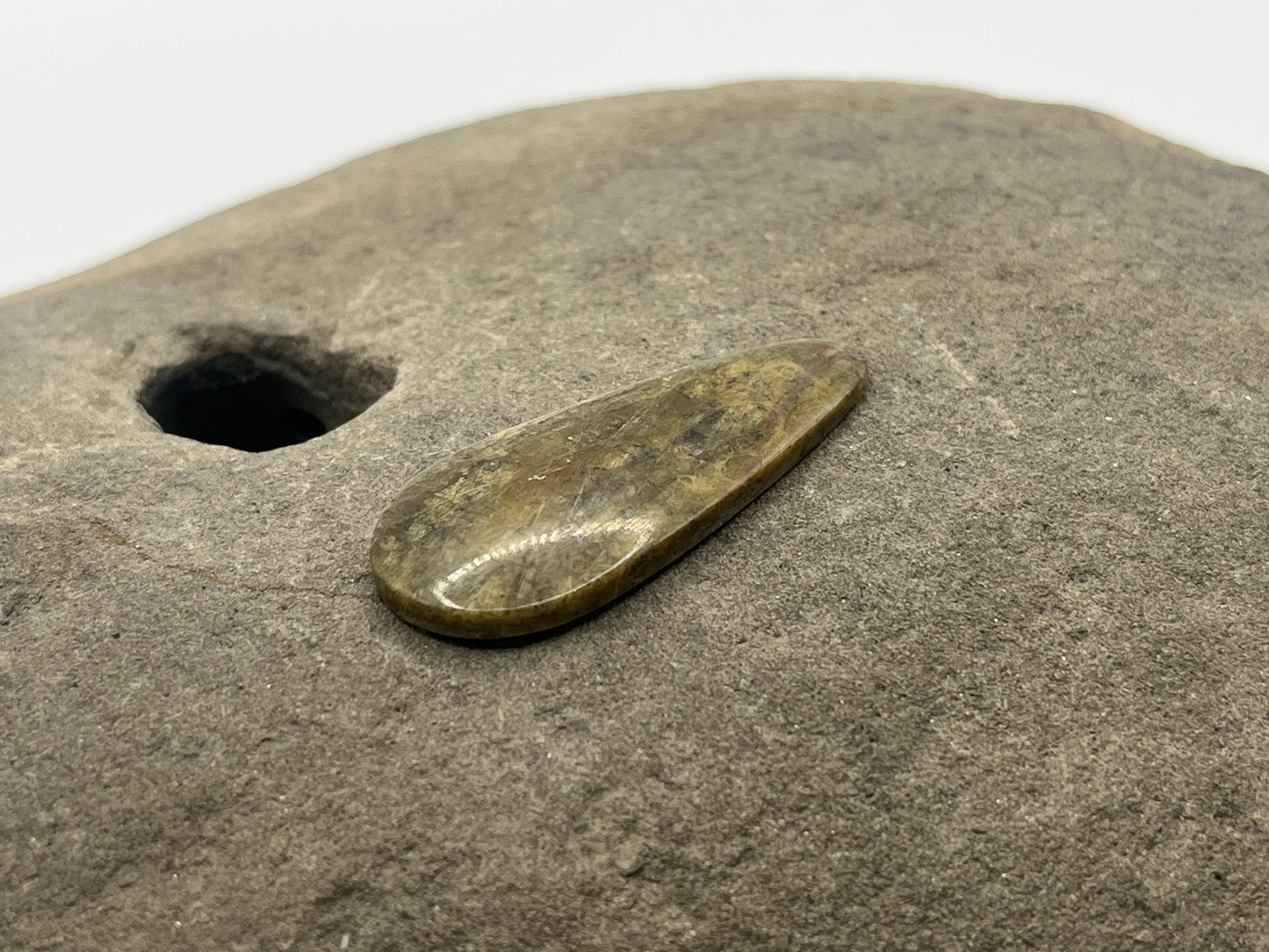 Mushroom Ryolite Cabochon 4