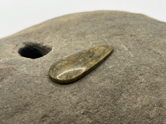 Mushroom Ryolite Cabochon 4