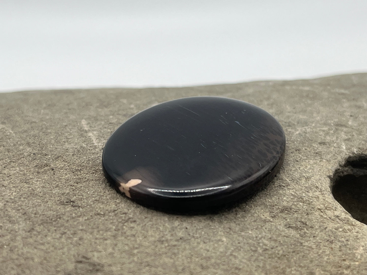 Eden Valley Petrified Wood Cabochon 20
