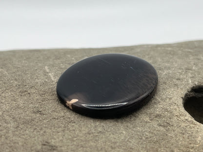 Eden Valley Petrified Wood Cabochon 20