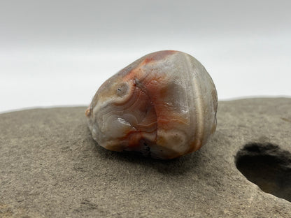 Limonite stained with Orange and White Bands LSA 19