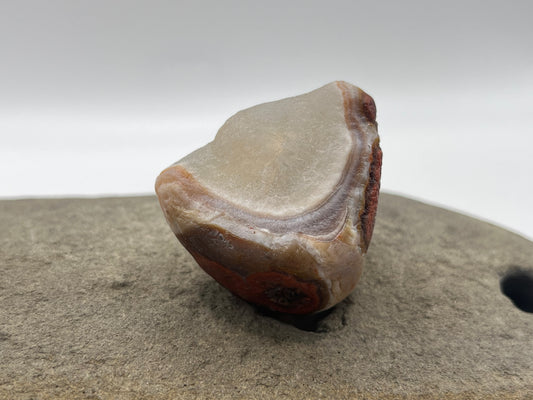 Quartzy Banded LSA 41